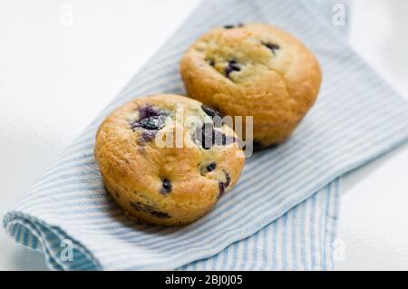 Muffin di mirtillo appena sfornato su tovagliolo a righe blu. - Foto Stock