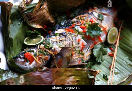 Ampia panata fresca su foglie di banana, con pepe rosso e verde e peperoncino, con strisce di zenzero e foglie di coriandolo tritate, prima di essere avvolta in Foto Stock