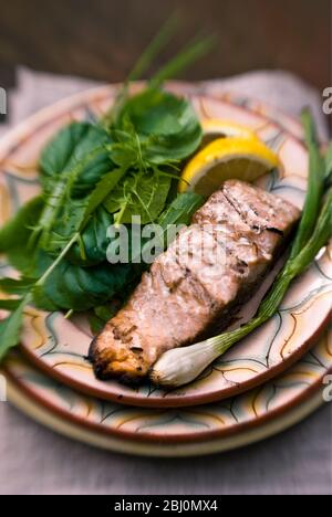 Filetto di salmone alla griglia con insalata mista di erbe, scalogno e limone su piatto rustico - Foto Stock