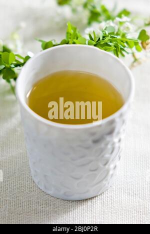 Piccola tazza di porcellana di tè alle erbe di camomilla - Foto Stock