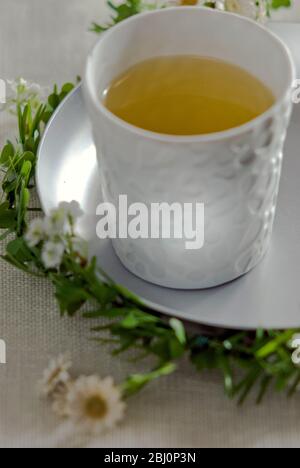 Piccola tazza di porcellana di tè alle erbe di camomilla - Foto Stock