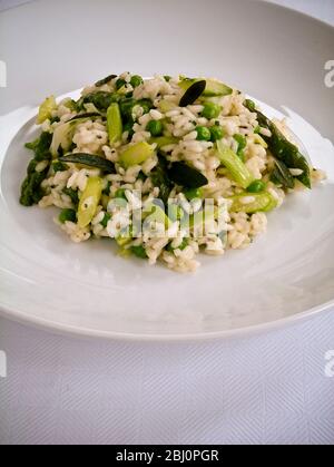 Piatto di risotto verde semplice, su piatto bianco come pranzo leggero o antipasto. - Foto Stock