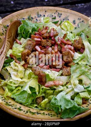 Insalata estiva all'aperto: Lattuga - batavia e romaine, crostini di pane a grano intero, erba cipollina tritata, pezzi di pancetta fritti e pepe macinato fresco con Foto Stock