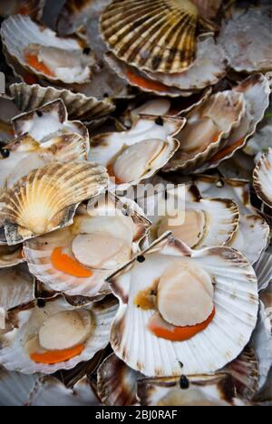 Capesante su stalle di pesce fresco nel mercato di Whitecross Street, Londra EC1 - Foto Stock