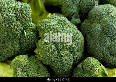 Primo piano di pezzi massaggiati di broccoli - Foto Stock