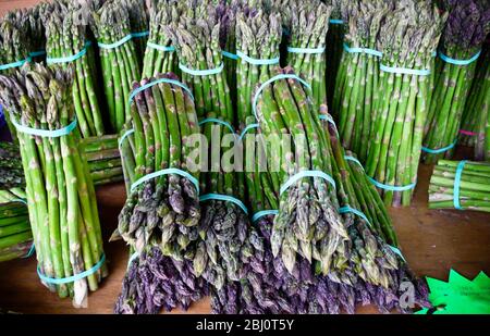 Asparagi appena raccolti in mazzi in vendita in azienda - Foto Stock