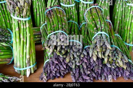 Asparagi appena raccolti in mazzi in vendita in azienda - Foto Stock