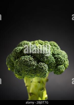 grandi broccoli verdi su fondo nero Foto Stock