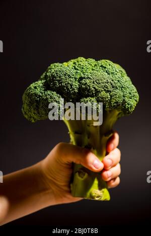 mano umana che tiene fresco broccoli verde su uno sfondo nero Foto Stock