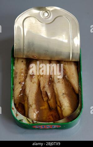 Lattina di filetti di sardina aperta con contenuto strettamente confezionato, in olio d'oliva - Foto Stock