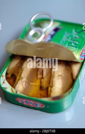 Lattina di filetti di sardina aperta con contenuto strettamente confezionato, in olio d'oliva - Foto Stock