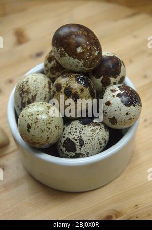 Una dozzina di uova di quaglie impilate in piccolo vaso bianco di ceramica su assi di legno - Foto Stock