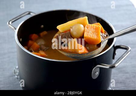 Stufato di manzo con verdure di radice con un mestolo che è usato per servire una porzione - Foto Stock