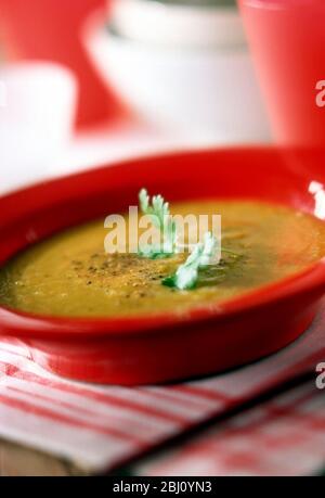 Zuppa di lenticchie con coriandolo - Foto Stock
