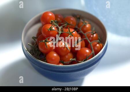 Piccoli pomodori ciliegini sulla vite in una ciotola di ceramica blu - Foto Stock