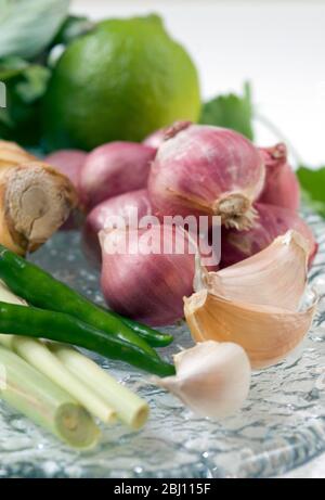 Ingredienti aromatizzanti per curry verde tailandese - Foto Stock