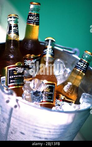 Birra alla spina Muller Genuine in secchio - Foto Stock