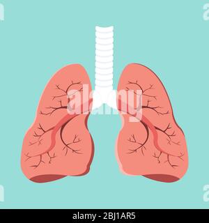 Organi interni dell'elemento umano di disegno. Anatomia polmonare realistica isolata su sfondo verde. Concetto di medicina sanitaria. Illustrazione Vettoriale