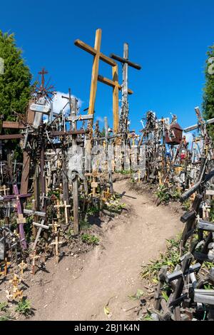 Collina delle croci in Lituania - un luogo di pellegrinaggio. Foto Stock