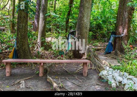 Nausori Highlands, Fiji, 7 gennaio 2020: Tree hugger nel Giardino del Gigante dormiente. Foto Stock