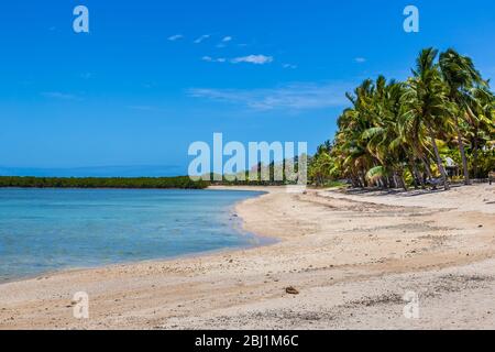 Spiaggia sabbiosa di Nalamu, sostenuta da palme, sotto un cielo blu, Fiji. Foto Stock