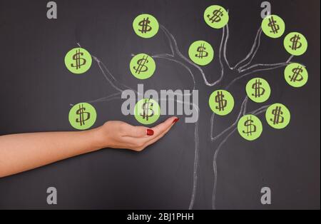 Mano femminile con disegno di albero del dollaro del gesso su sfondo del blackboard Foto Stock