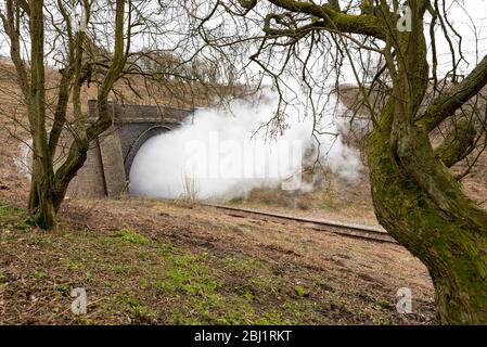 Una nuvola di ruscello da un treno a vapore restaurato esce da un tunnel sulla ferrovia del Gloucestershire Warwickshire, riaperta. Foto Stock