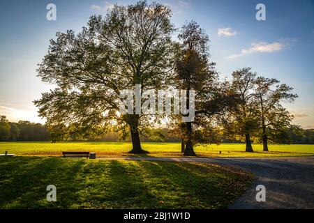 Parco forestale di Rosenthal nella città di Lipsia, Sassonia, Germania. Situato a nord del centro storico della città, Rosenthal fa parte dell'area protetta del L. Foto Stock