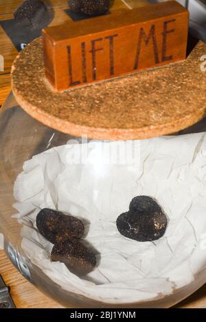 Un tartufo è il corpo fruttato di un fungo di ascomycete sotterraneo, prevalentemente una delle molte specie del genere Tuber. Oltre a Tuber Foto Stock