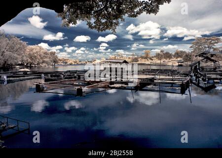 Pesca stagni riflessione al lago Foto Stock