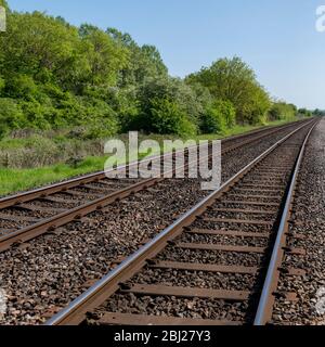 immagine quadrata di binari ferroviari paralleli circondati da lussureggianti alberi verdi e luminosi, cespugli sotto il cielo blu Foto Stock