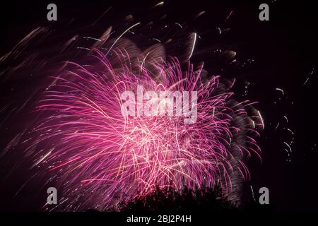 Fuochi d'artificio. Un'immagine di un bellissimo fuochi d'artificio Foto Stock