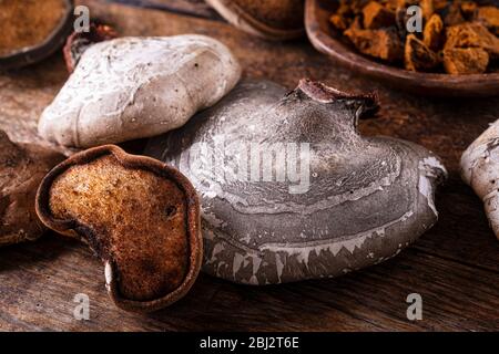 Un assortimento di polipori di betulla e una ciotola di chaga su un piano rustico in legno. Foto Stock