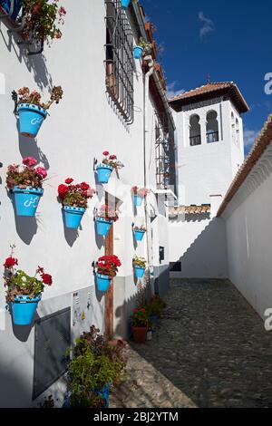 Casa decorata con vasi di fiori blu, Calle Espalda de San Nicolas, quartiere Albaicin, Granada, Spagna. Foto Stock