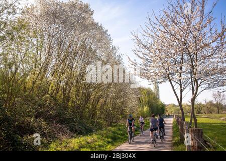 La pista ciclabile della valle della Ruhr a Wetter-Wengern, Ruhr Area, Renania settentrionale-Vestfalia, Germania. Der Ruhrtalradweg bei Wetter-Wengern, Ruhrgebiet, Nordrhei Foto Stock