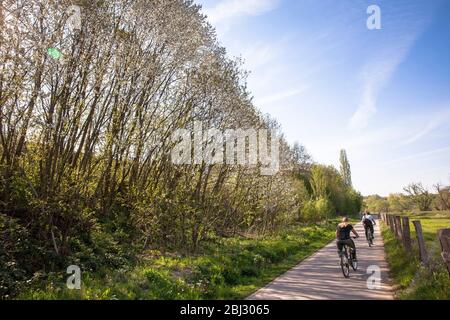 La pista ciclabile della valle della Ruhr a Wetter-Wengern, Ruhr Area, Renania settentrionale-Vestfalia, Germania. Der Ruhrtalradweg bei Wetter-Wengern, Ruhrgebiet, Nordrhei Foto Stock