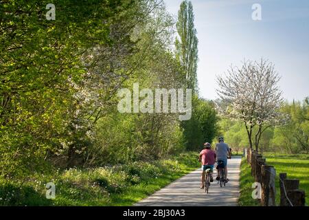 La pista ciclabile della valle della Ruhr a Wetter-Wengern, Ruhr Area, Renania settentrionale-Vestfalia, Germania. Der Ruhrtalradweg bei Wetter-Wengern, Ruhrgebiet, Nordrhei Foto Stock