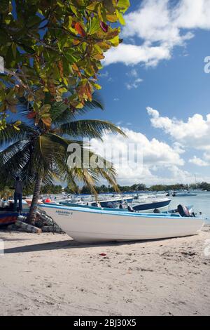 Barche sulla spiaggia, Bayahibe, repubblica Dominicana Foto Stock