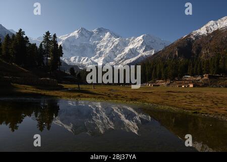 Nanga Parbat torreggiante sopra la natura selvaggia vicino a prati fairy, Pakistan. Foto Stock