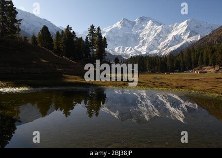 Nanga Parbat torreggiante sopra la natura selvaggia vicino a prati fairy, Pakistan. Foto Stock