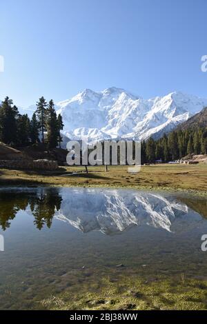 Nanga Parbat torreggiante sopra la natura selvaggia vicino a prati fairy, Pakistan. Foto Stock