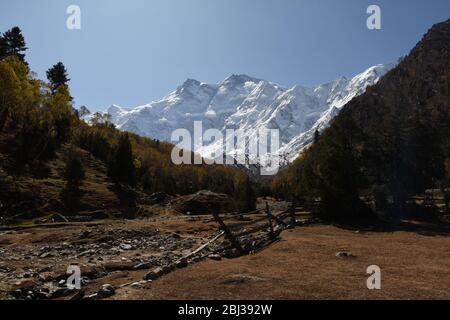 Nanga Parbat torreggiante sopra la natura selvaggia vicino a prati fairy, Pakistan. Foto Stock