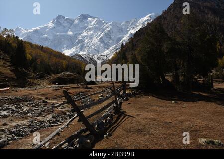 Nanga Parbat torreggiante sopra la natura selvaggia vicino a prati fairy, Pakistan. Foto Stock