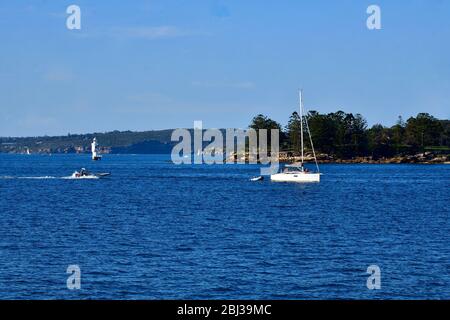 Una vista delle piccole imbarcazioni sul porto di Sydney vicino all'Isola di Shark Foto Stock