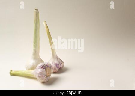 Diverse teste di aglio su carta leggera. Foto Stock