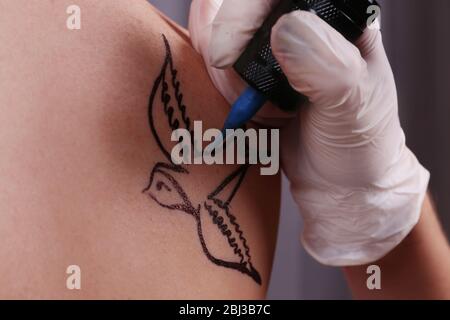 Il tatuista disegna lo swallow sulla spalla destra della donna, primo piano Foto Stock