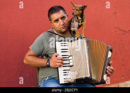 Musica di strada - fisarmonicista che suona fisarmonica per turisti con cane da compagnia e raccoglie donazioni nel quartiere di Alfama a Lisbona, Portogallo Foto Stock