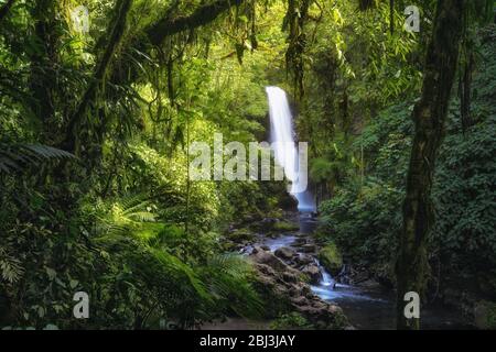 Una delle cascate del Parco Naturale dei Giardini di la Paz in Costa Rica Foto Stock