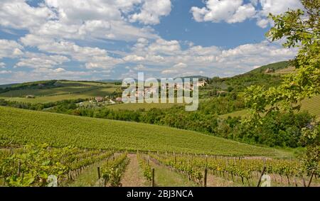 Guardando attraverso i vigneti verso il piccolo comune di San Regolo vicino a Brolio in Chianti, Italia Foto Stock