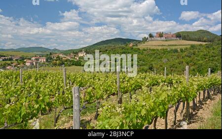 Guardando attraverso i vigneti verso il piccolo comune di San Regolo e il Castello di Brolio, Toscana, Italia Foto Stock